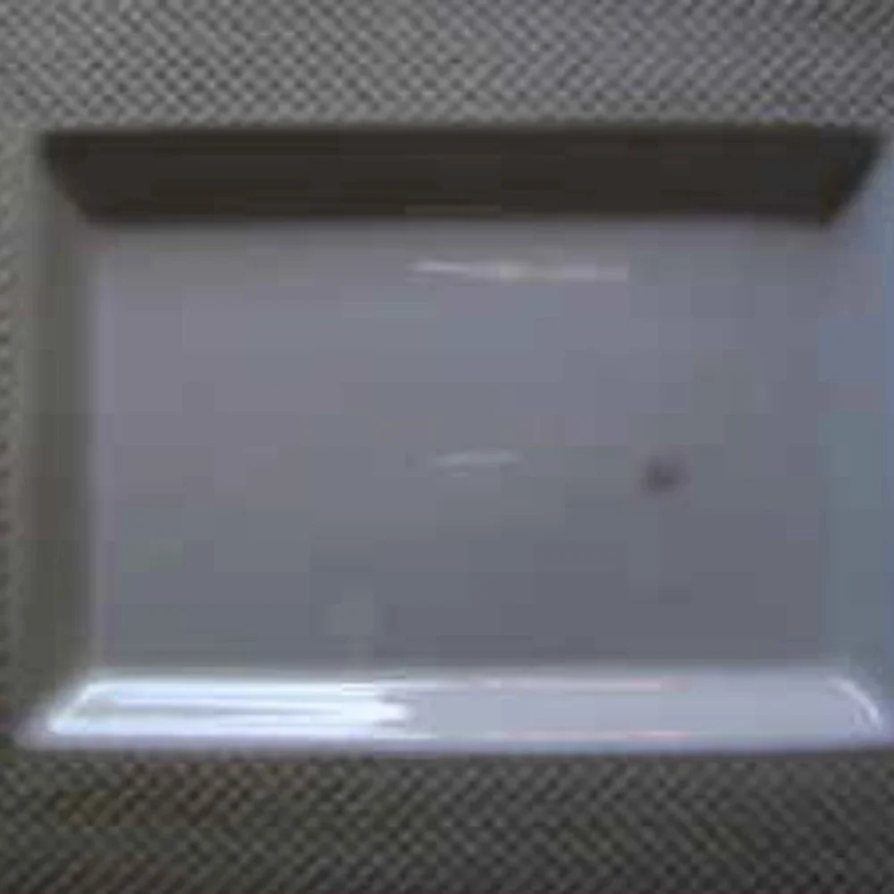 New Ralph Lauren Reed Tray/Platter-Very Heavy